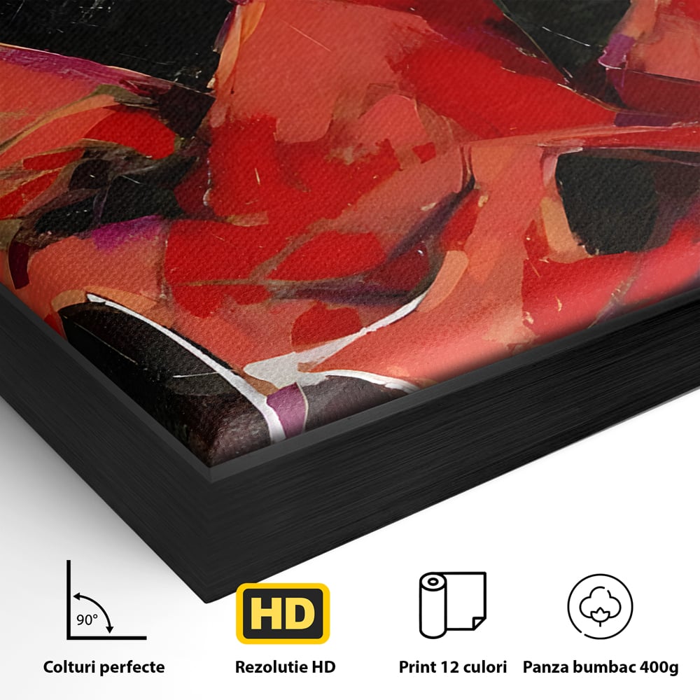 Detaliu al suprafetei: tablou canvas cu dansatoare in rochie rosie, in rama de aluminiu negru