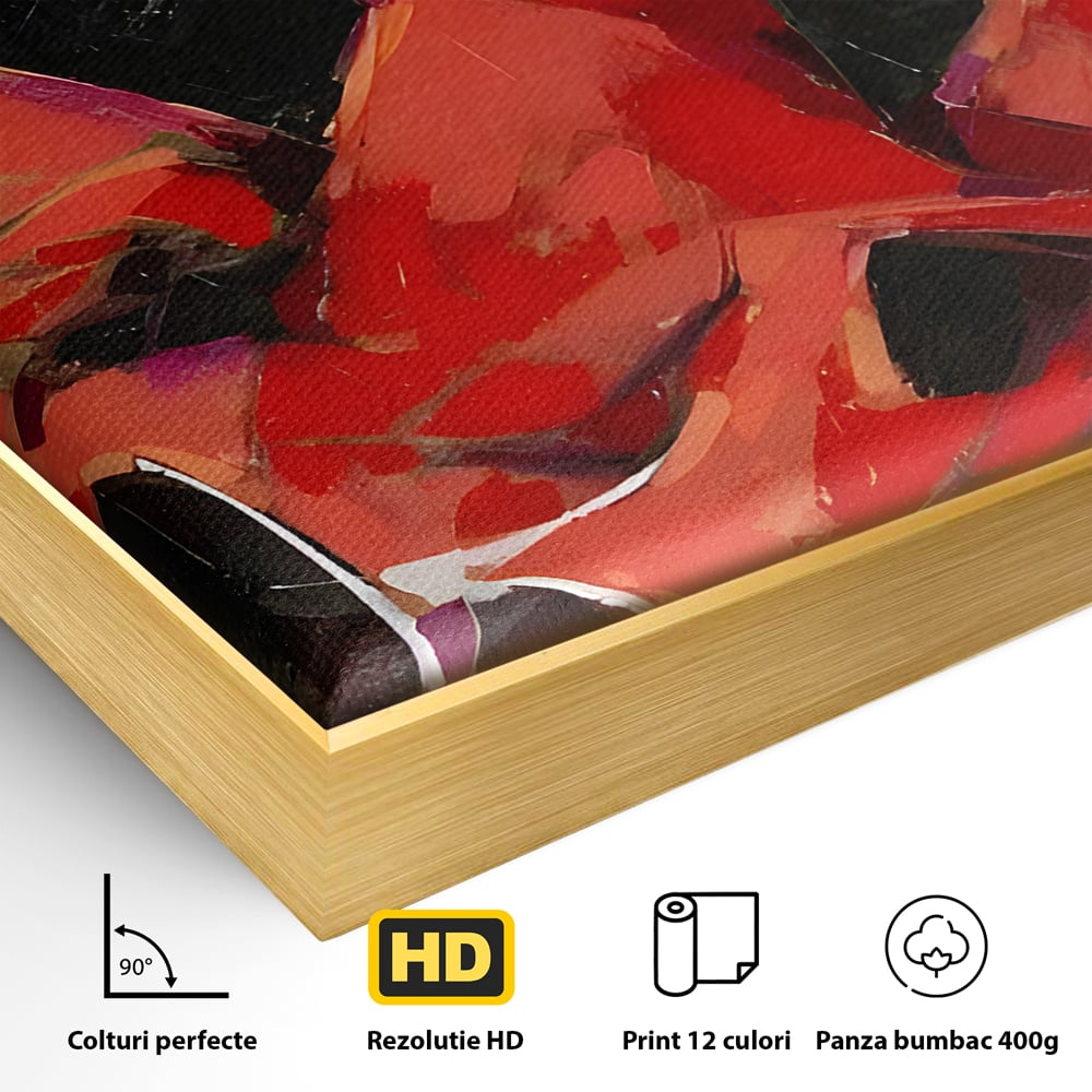 Detaliu al suprafetei: tablou canvas cu dansatoare in rochie rosie, in rama de aluminiu auriu
