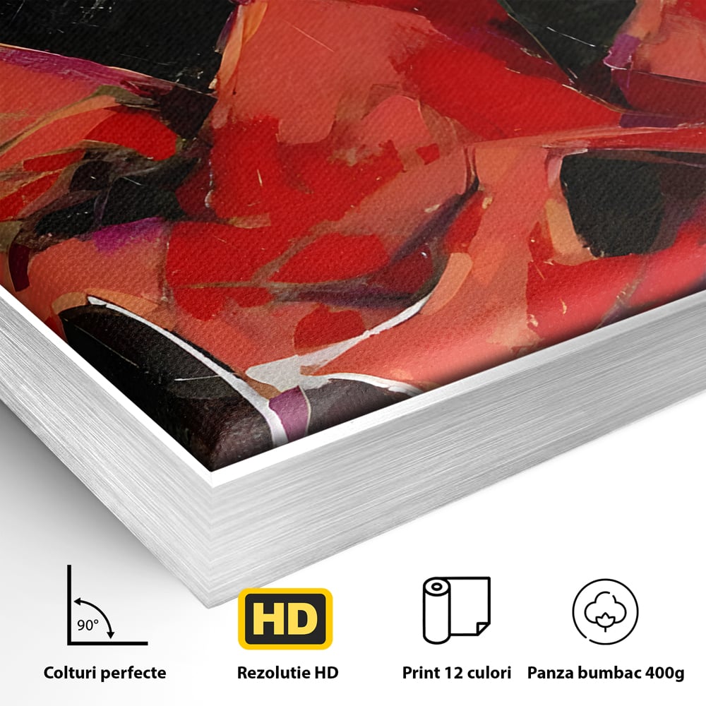 Detaliu al suprafetei: tablou canvas cu dansatoare in rochie rosie, in rama de aluminiu argintiu