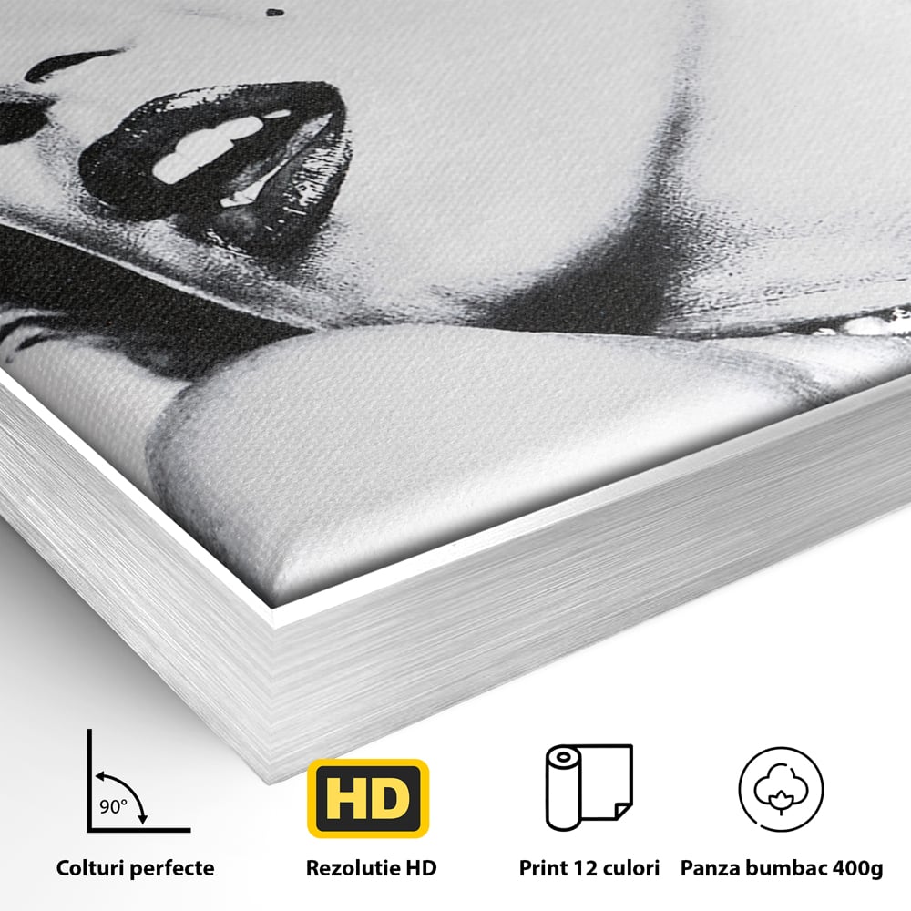 Detaliu al suprafetei: tablou canvas cu marilyn monroe alb negru, in rama de aluminiu argintiu
