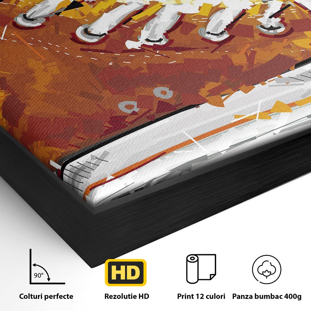 Detaliu al suprafetei: tablou canvas cu tenisi portocalii, in rama de aluminiu negru