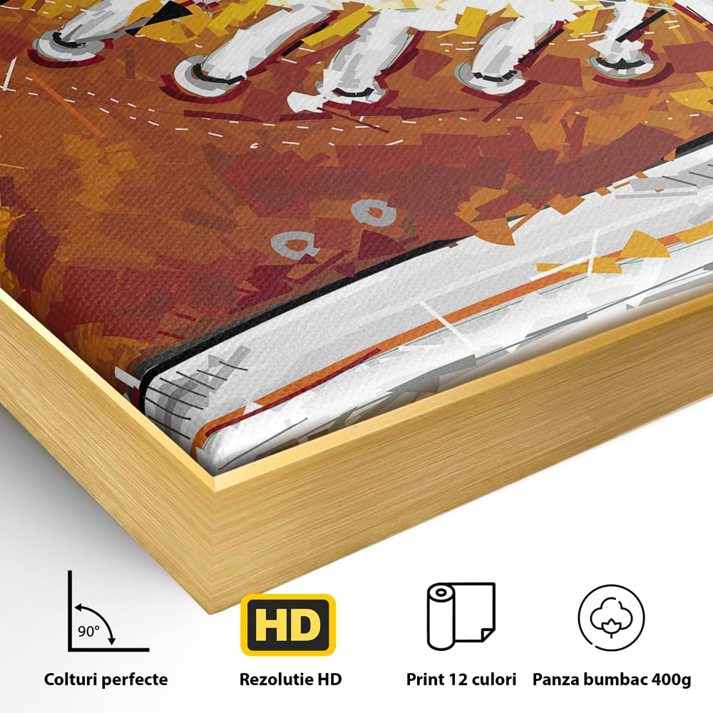 Detaliu al suprafetei: tablou canvas cu tenisi portocalii, in rama de aluminiu auriu