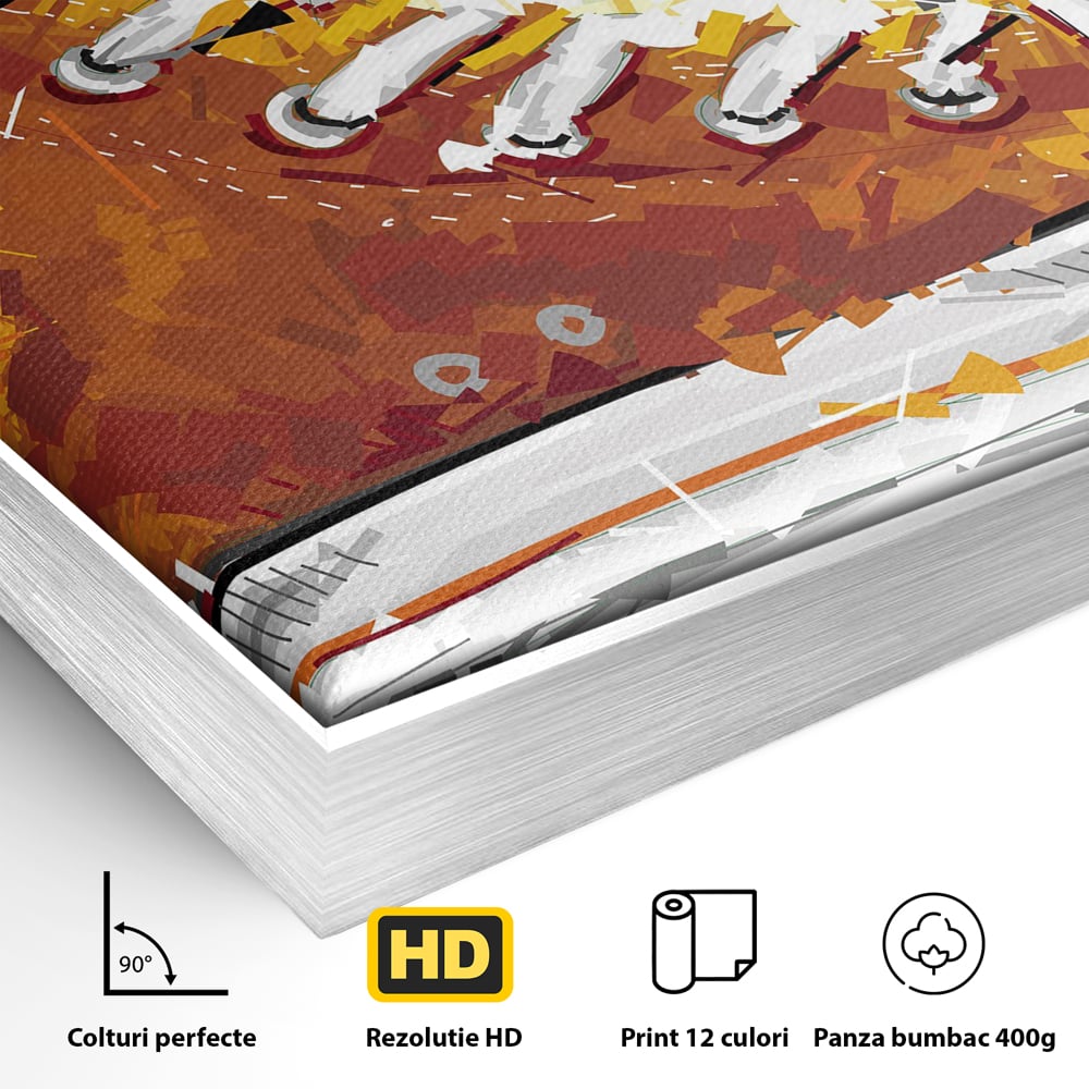 Detaliu al suprafetei: tablou canvas cu tenisi portocalii, in rama de aluminiu argintiu