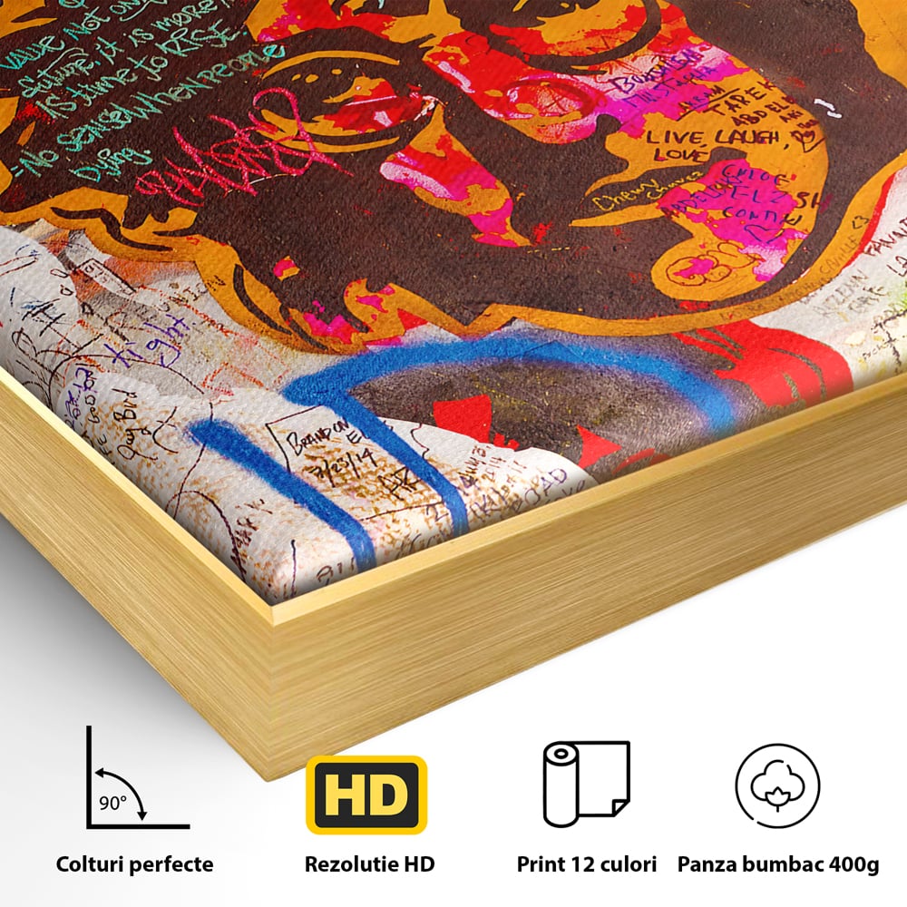 Detaliu al suprafetei: tablou canvas cu john lennon si graffiti, in rama de aluminiu auriu