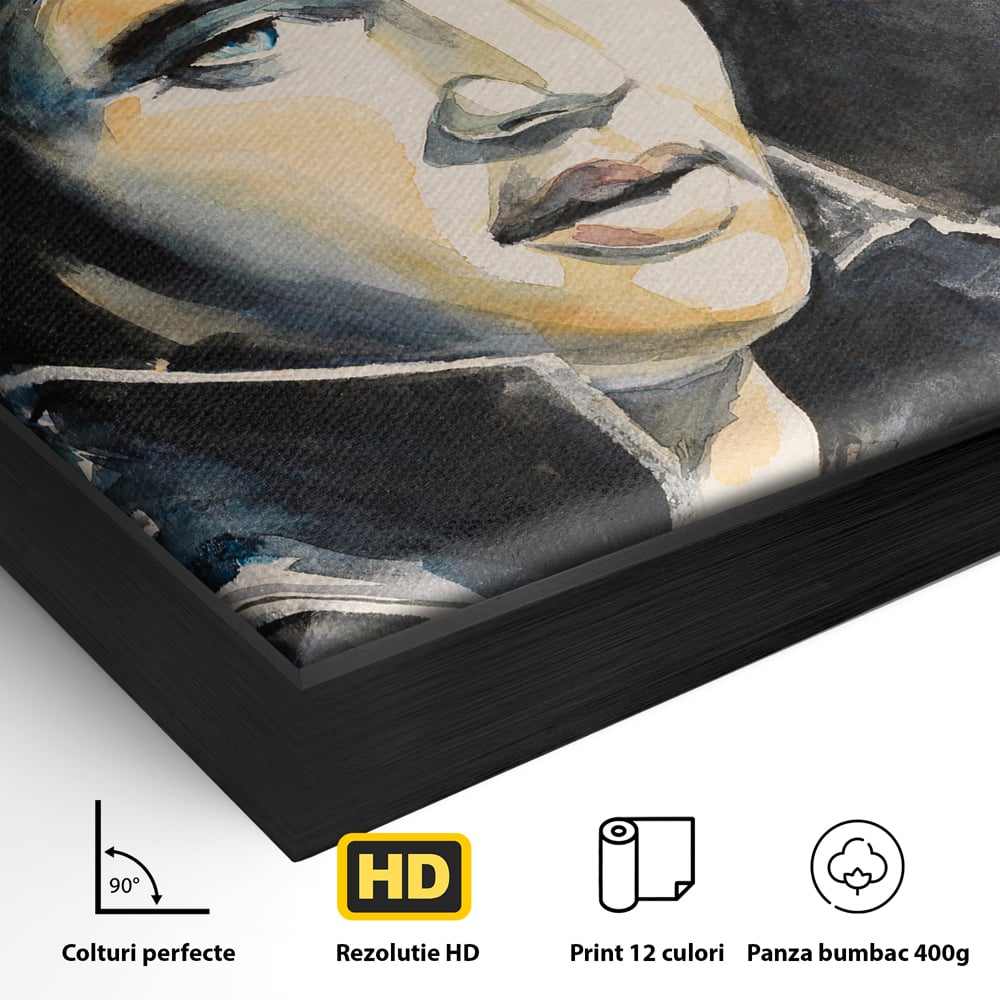 Detaliu al suprafetei: pictura cu portretul lui elvis presley, in rama de aluminiu negru