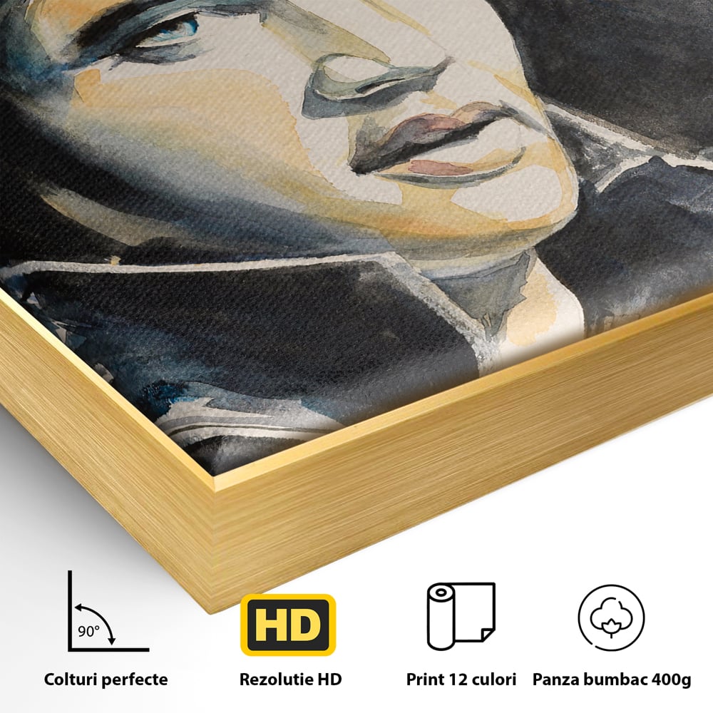 Detaliu al suprafetei: pictura cu portretul lui elvis presley, in rama de aluminiu auriu