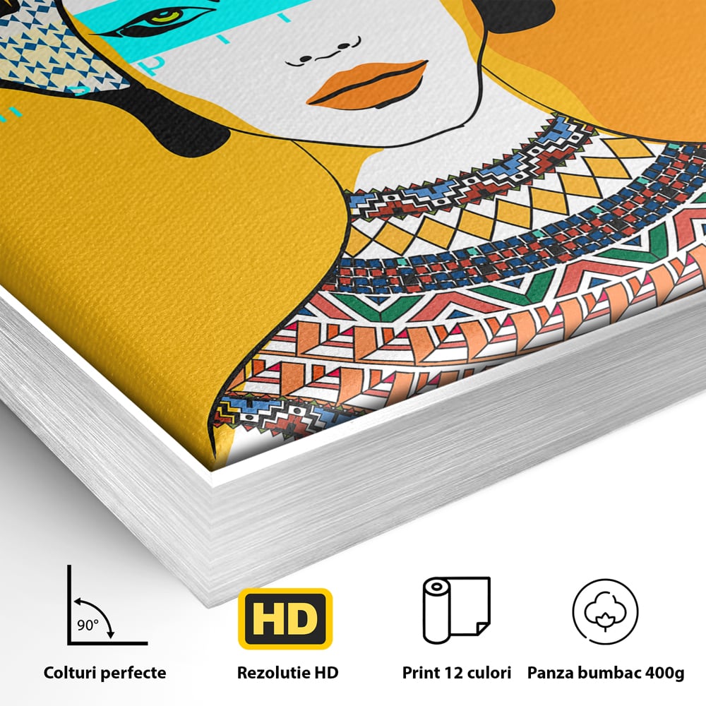 Detaliu al suprafetei: ilustratie digitala cu femeie africana, in rama de aluminiu argintiu