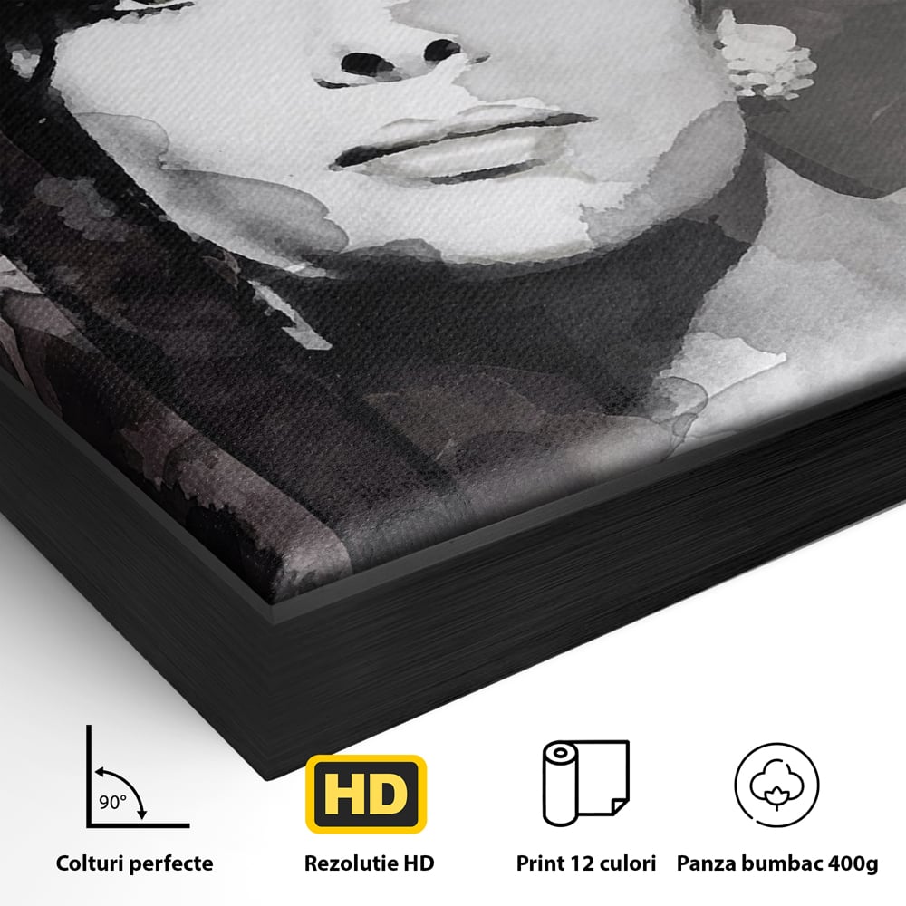 Detaliu al suprafetei: tablou canvas cu portretul actritei sophia loren, in rama de aluminiu negru