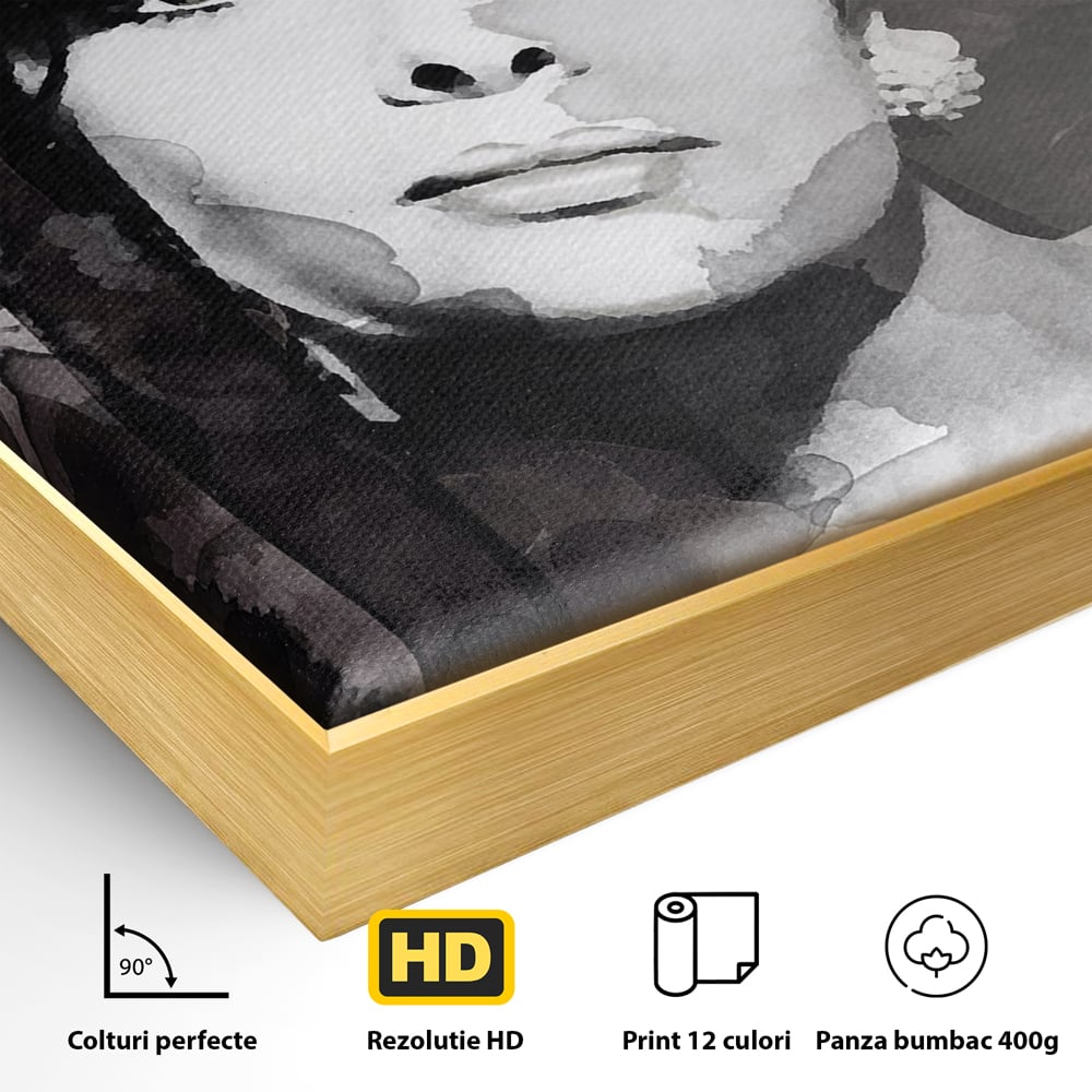 Detaliu al suprafetei: tablou canvas cu portretul actritei sophia loren, in rama de aluminiu auriu