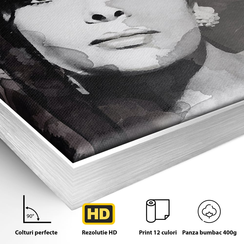 Detaliu al suprafetei: tablou canvas cu portretul actritei sophia loren, in rama de aluminiu argintiu