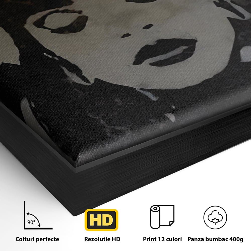 Detaliu al suprafetei: tablou canvas cu portretul unei regine, in rama de aluminiu negru