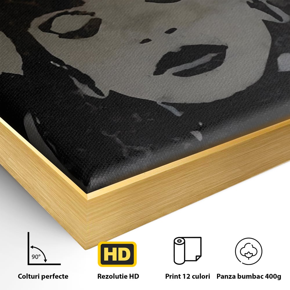 Detaliu al suprafetei: tablou canvas cu portretul unei regine, in rama de aluminiu auriu