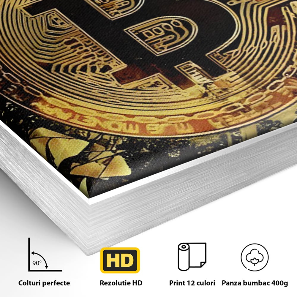 Detaliu al suprafetei: tablou digital cu moneda bitcoin aurie, in rama de aluminiu argintiu