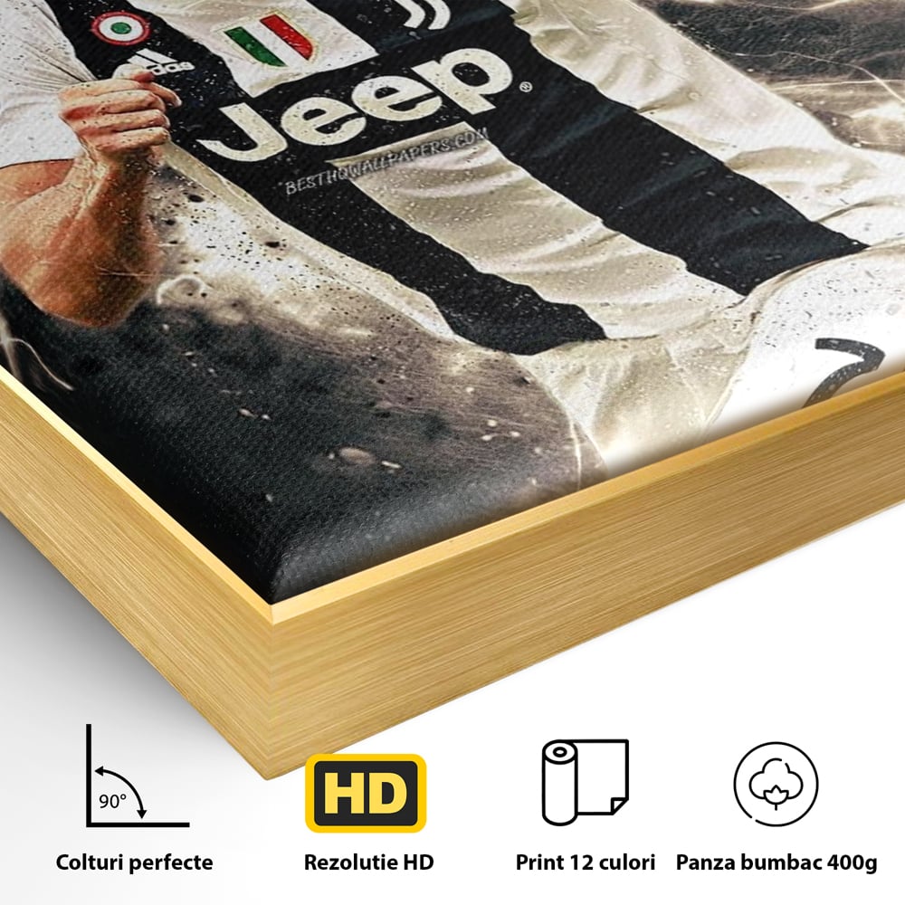 Detaliu al suprafetei: tablou canvas cu cristiano ronaldo, in rama de aluminiu auriu