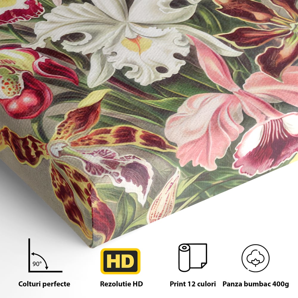 Detaliu al suprafetei: ilustratie botanica cu orhidee multicolore, fara rama, pe sasiu de lemn