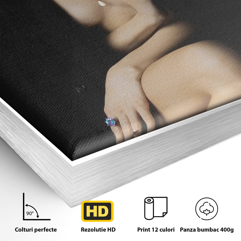 Detaliu al suprafetei: tablou canvas cu portret artistic de femeie, in rama de aluminiu argintiu