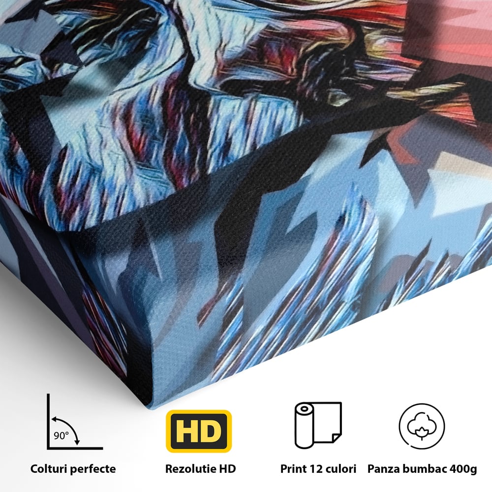 Detaliu al suprafetei: tablou canvas cu chip abstract, fara rama, pe sasiu de lemn