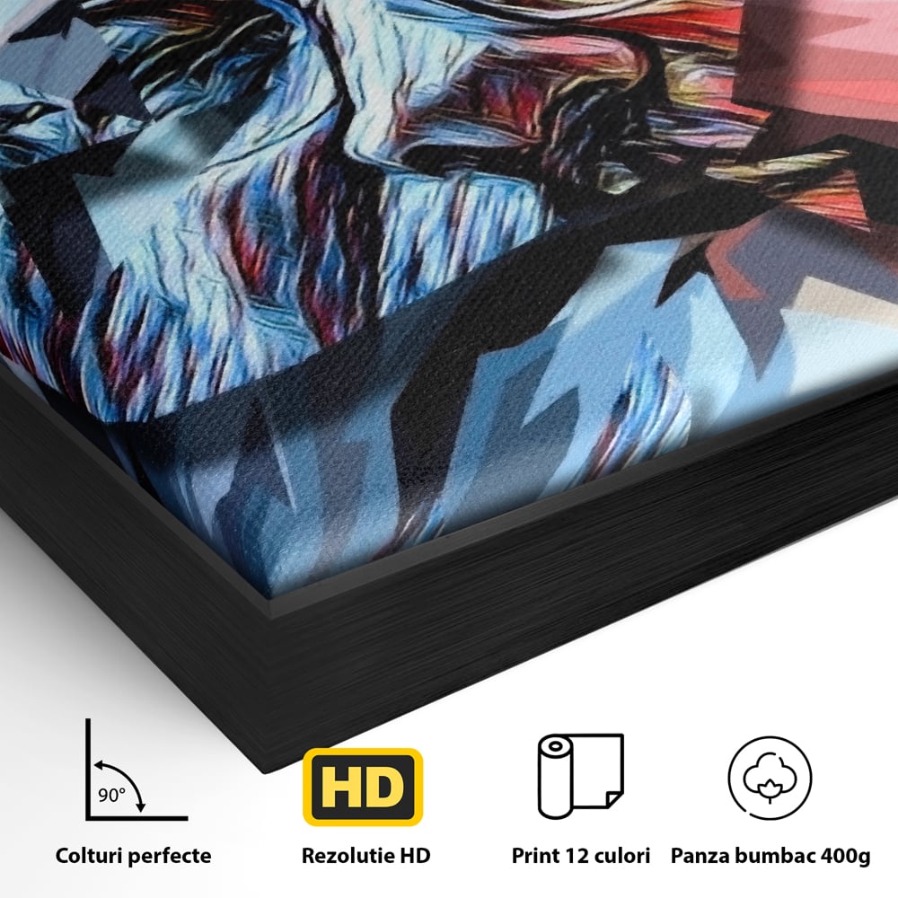 Detaliu al suprafetei: tablou canvas cu chip abstract, in rama de aluminiu negru