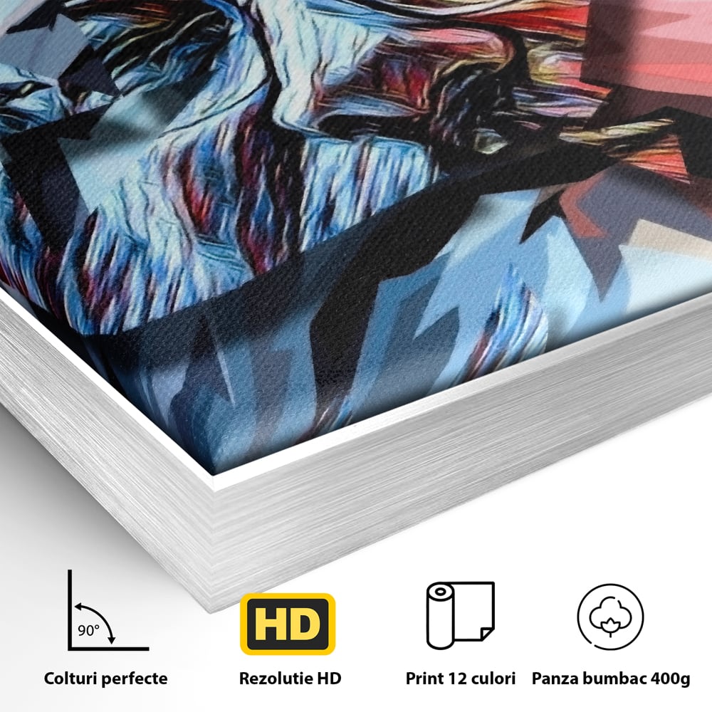 Detaliu al suprafetei: tablou canvas cu chip abstract, in rama de aluminiu argintiu