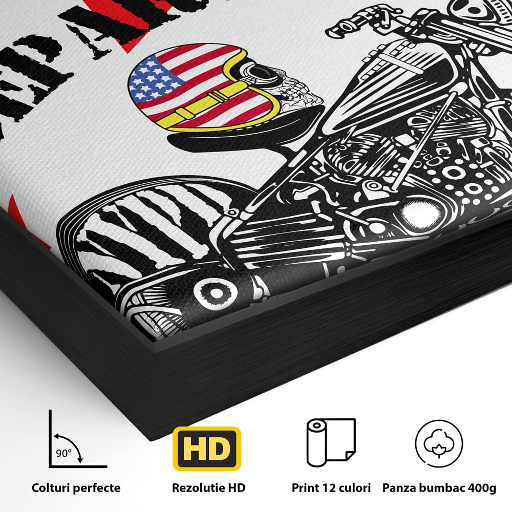 Detaliu al suprafetei: tablou canvas cu motocicleta si craniu, in rama de aluminiu negru