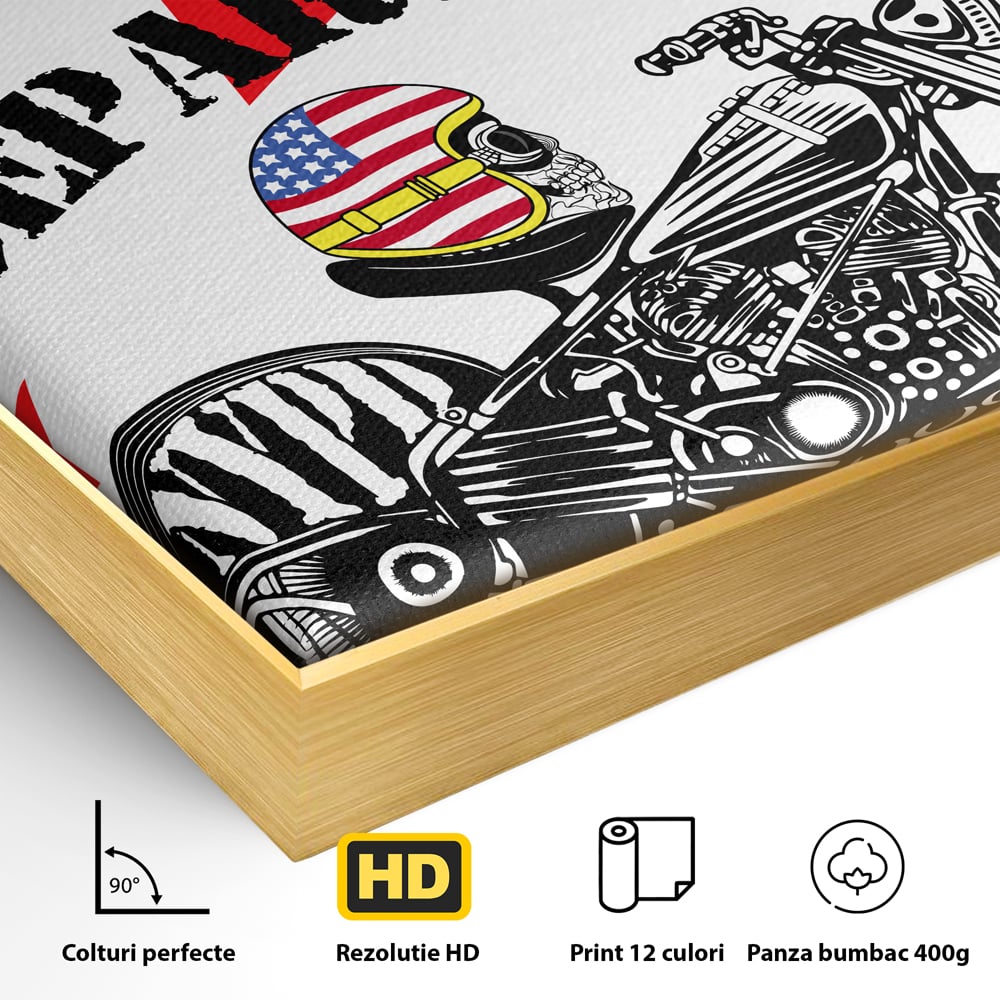 Detaliu al suprafetei: tablou canvas cu motocicleta si craniu, in rama de aluminiu auriu