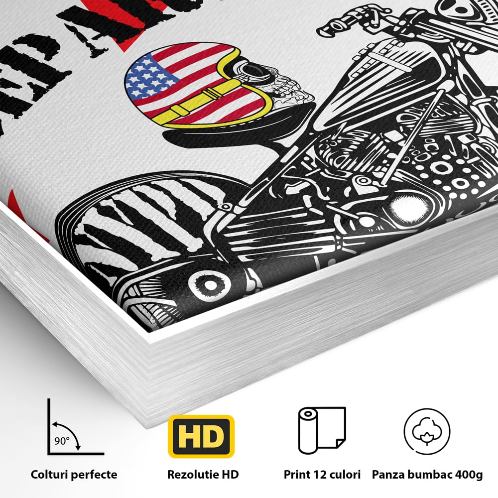 Detaliu al suprafetei: tablou canvas cu motocicleta si craniu, in rama de aluminiu argintiu
