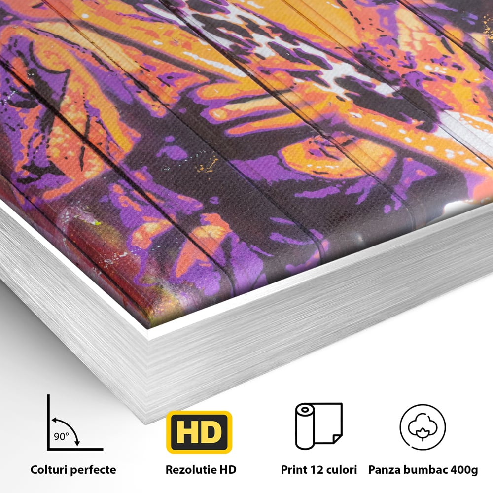Detaliu al suprafetei: tablou canvas cu jimi hendrix cantand la chitara, in rama de aluminiu argintiu