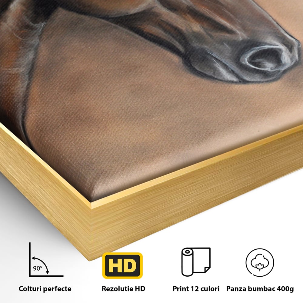 Detaliu al suprafetei: tablou canvas cu portret de cal, in rama de aluminiu auriu