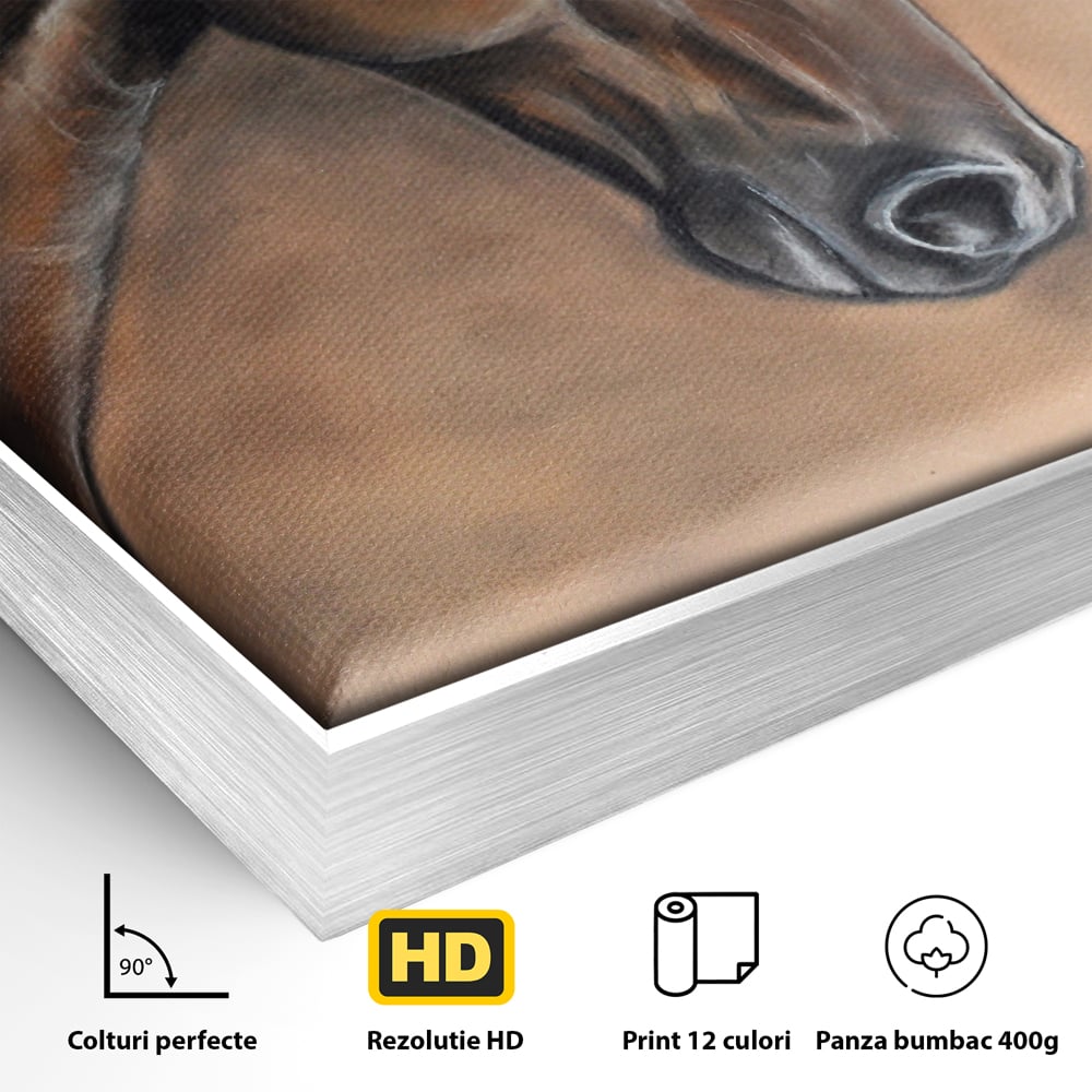 Detaliu al suprafetei: tablou canvas cu portret de cal, in rama de aluminiu argintiu