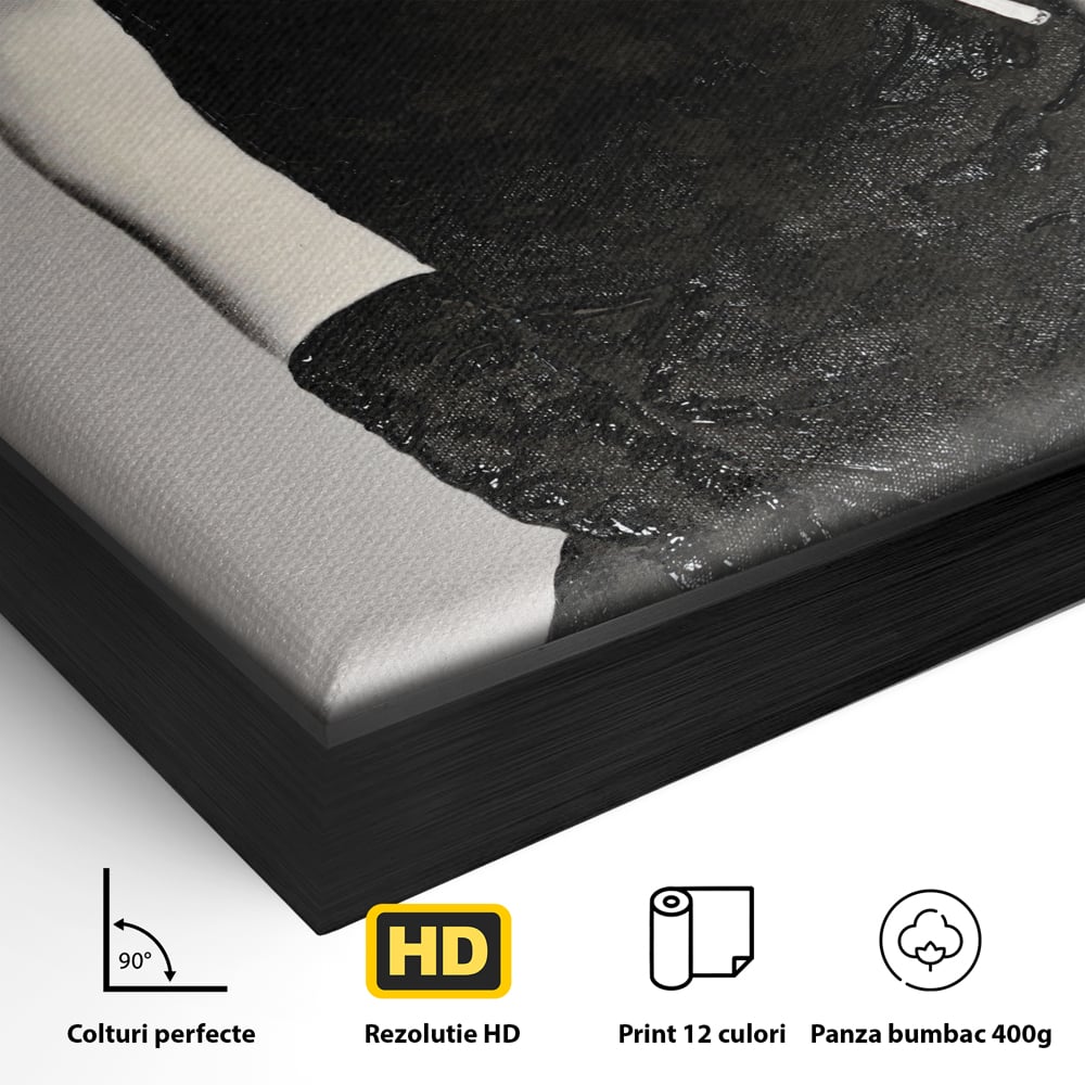 Detaliu al suprafetei: tablou portret audrey hepburn cu tigara, in rama de aluminiu negru