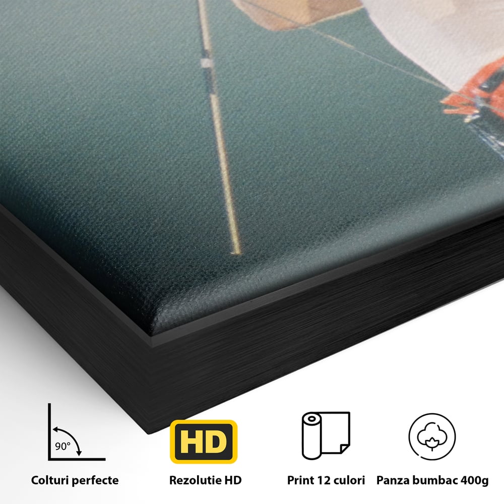 Detaliu al suprafetei: tablou canvas cu freddie mercury, in rama de aluminiu negru