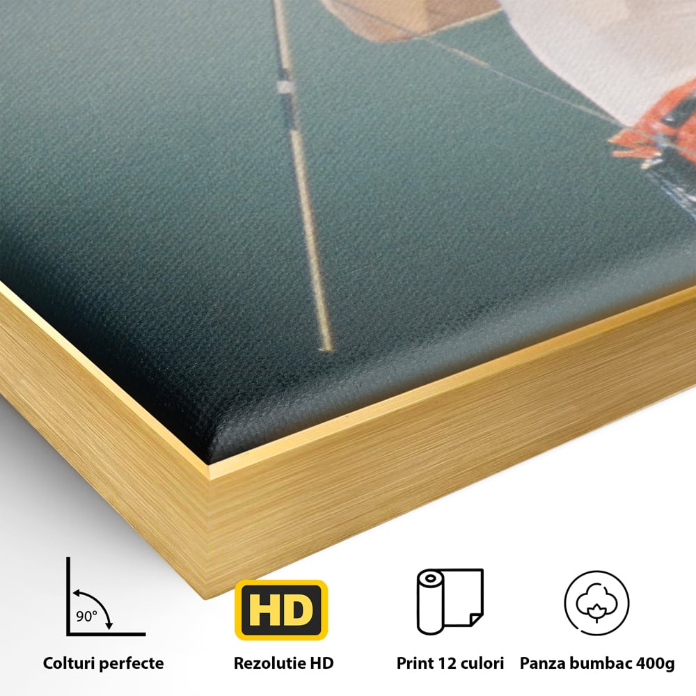 Detaliu al suprafetei: tablou canvas cu freddie mercury, in rama de aluminiu auriu