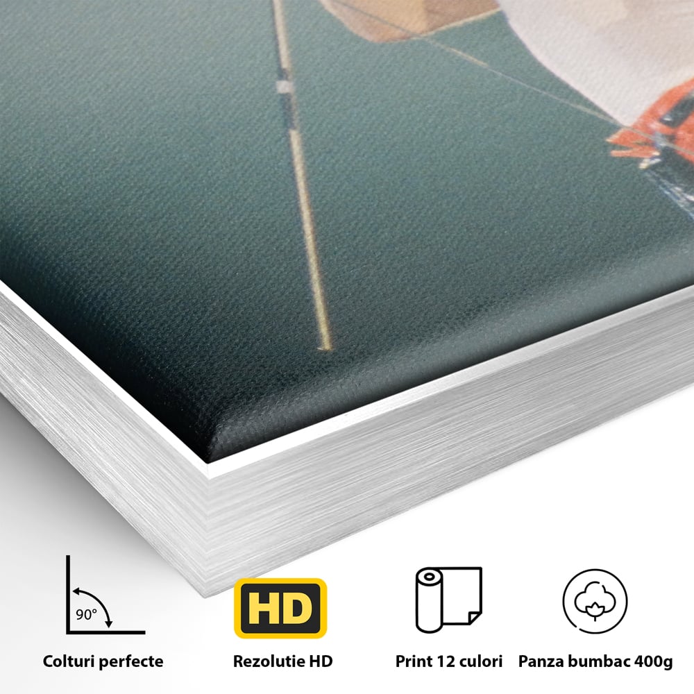Detaliu al suprafetei: tablou canvas cu freddie mercury, in rama de aluminiu argintiu