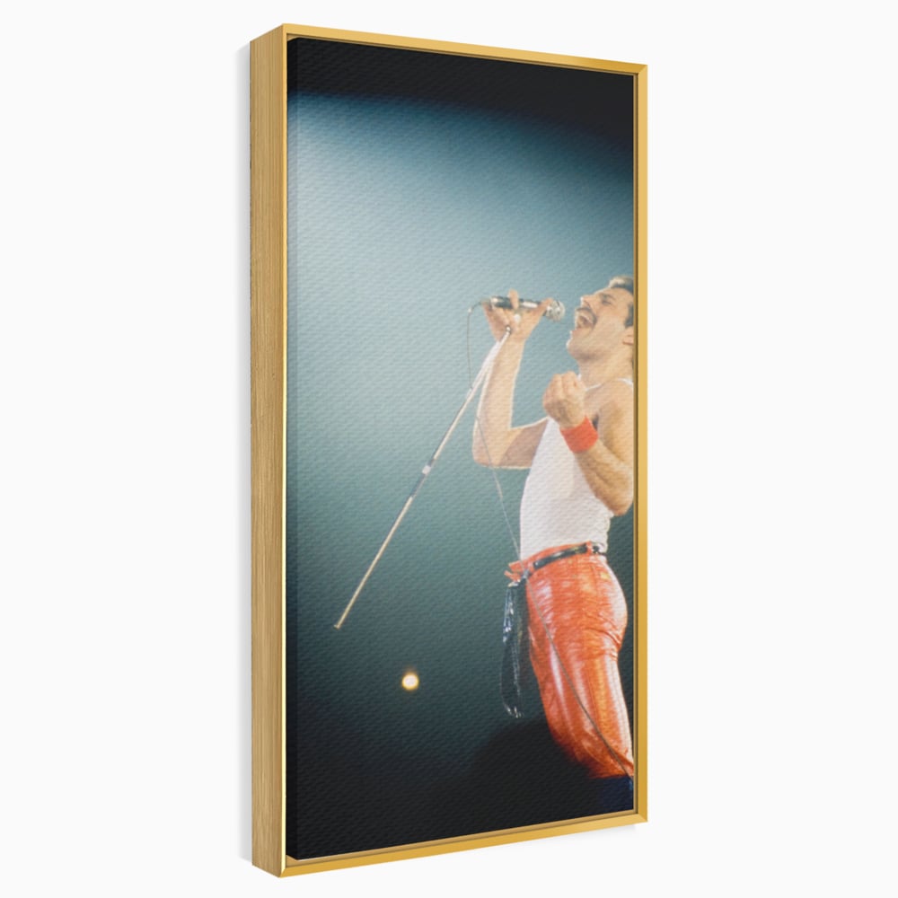 Tablou canvas cu tablou canvas cu freddie mercury, in rama de aluminiu auriu