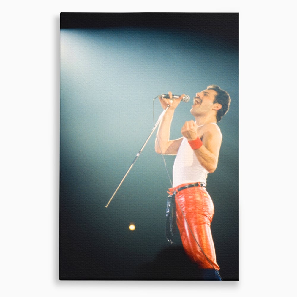 Tablou canvas cu tablou canvas cu freddie mercury, fara rama, pe sasiu de lemn