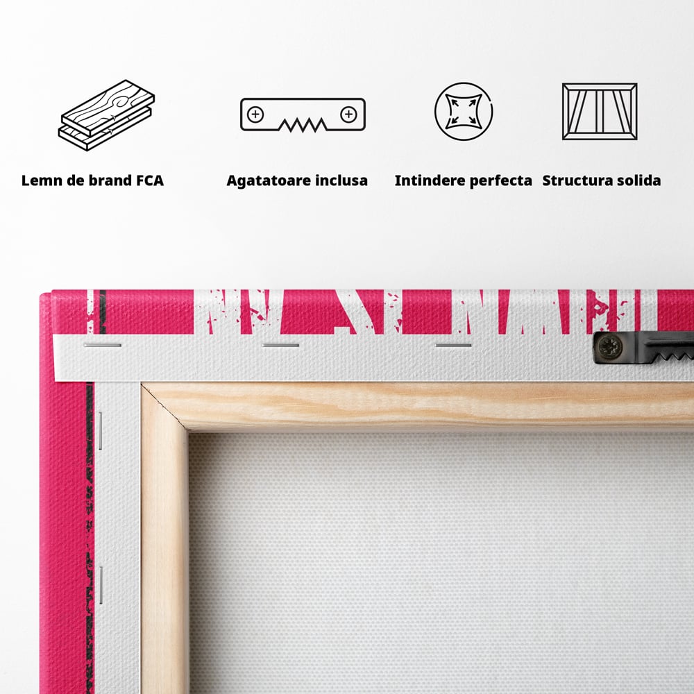 Spatele produsului, cu sasiu din lemn, capse metalice si agatatoare