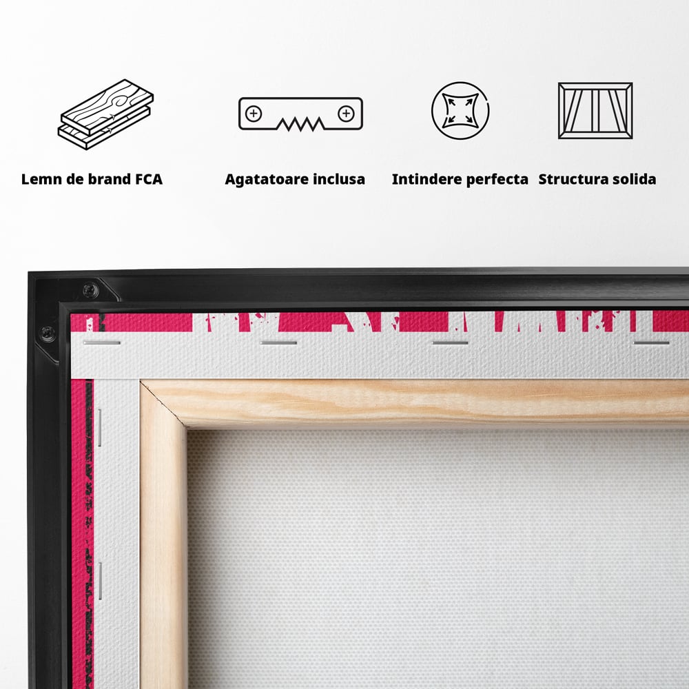 Spatele produsului, cu sasiu din lemn, capse metalice si agatatoare