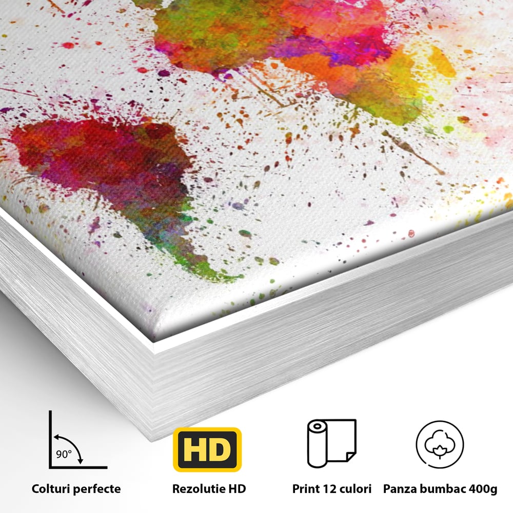 Detaliu al suprafetei: tablou canvas cu harta lumii pictata, in rama de aluminiu argintiu