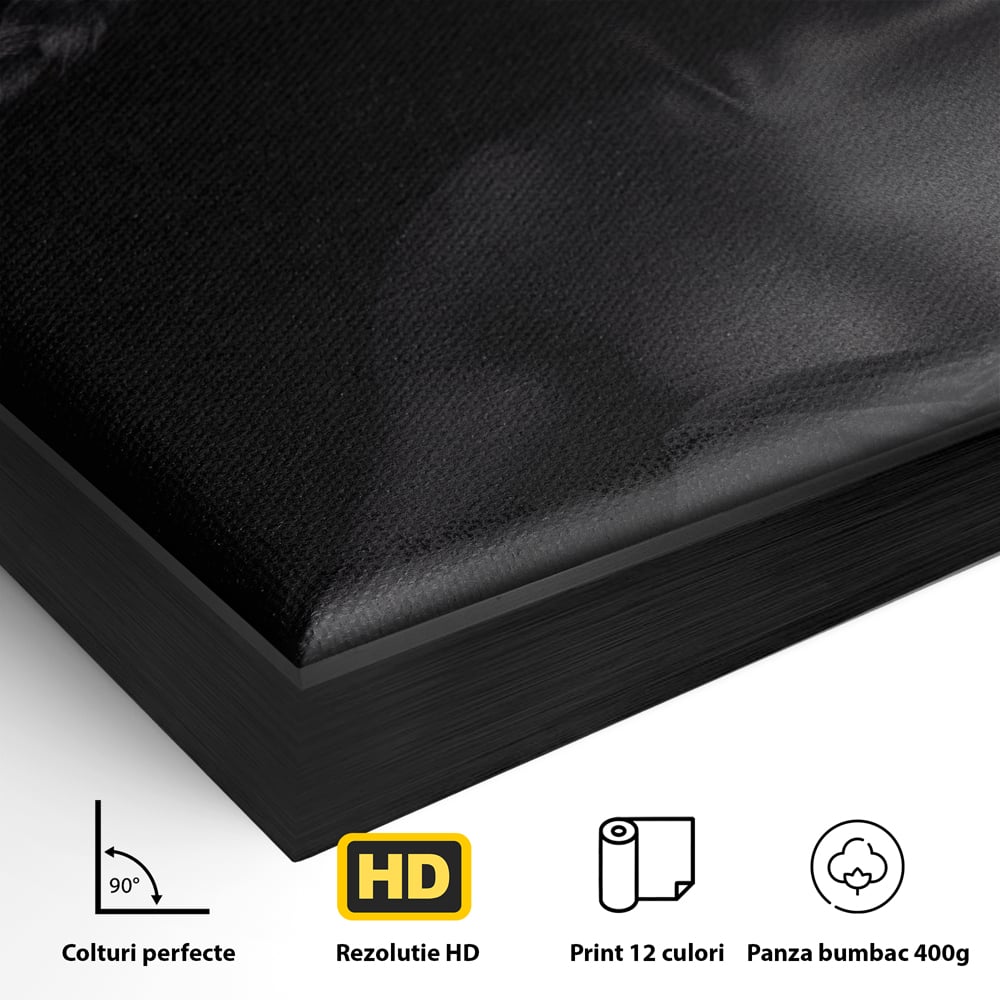 Detaliu al suprafetei: tablou canvas cu femeie vopsita in negru si auriu, in rama de aluminiu negru