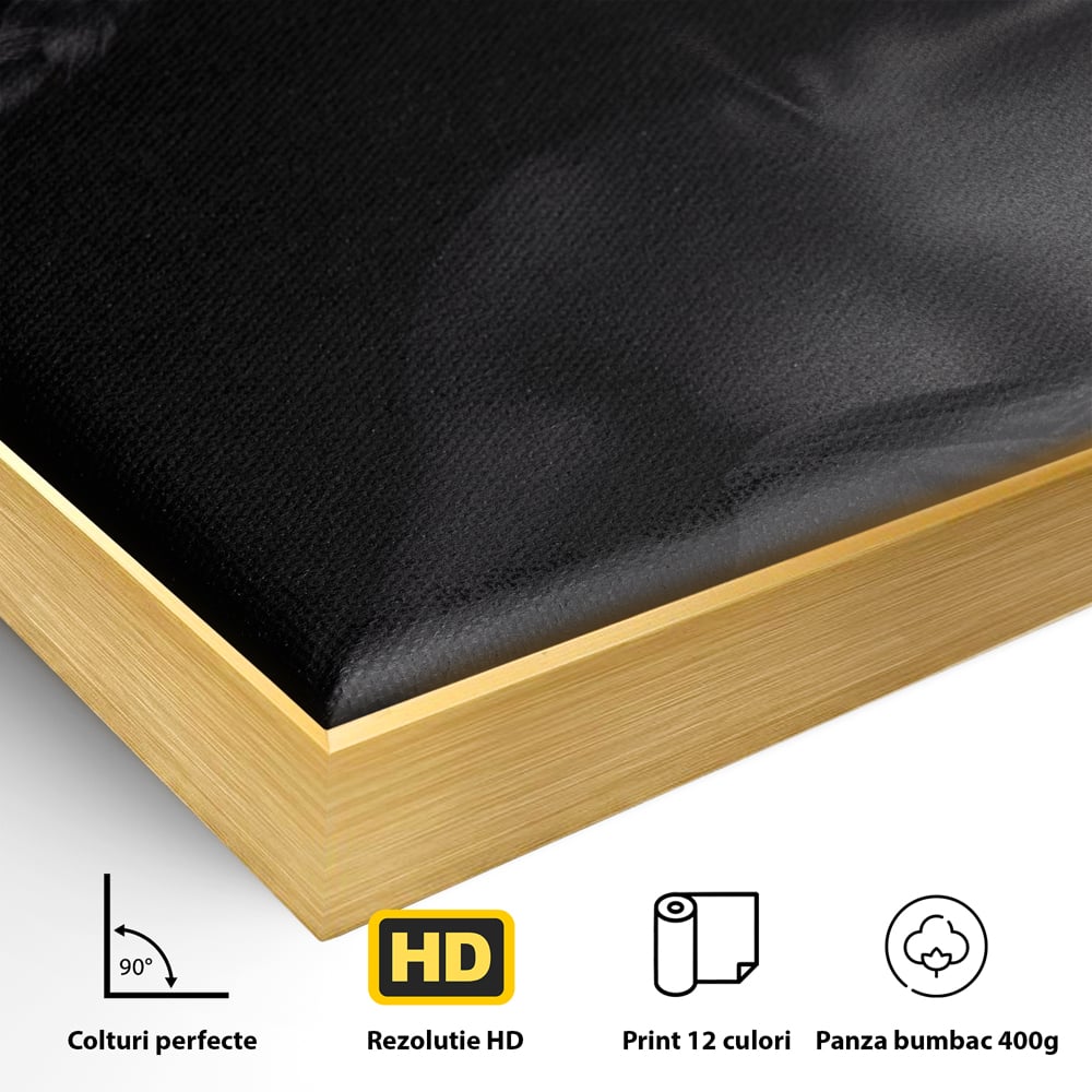 Detaliu al suprafetei: tablou canvas cu femeie vopsita in negru si auriu, in rama de aluminiu auriu