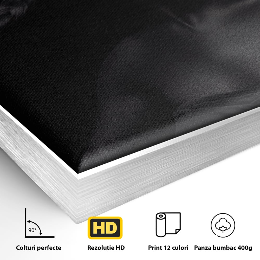 Detaliu al suprafetei: tablou canvas cu femeie vopsita in negru si auriu, in rama de aluminiu argintiu