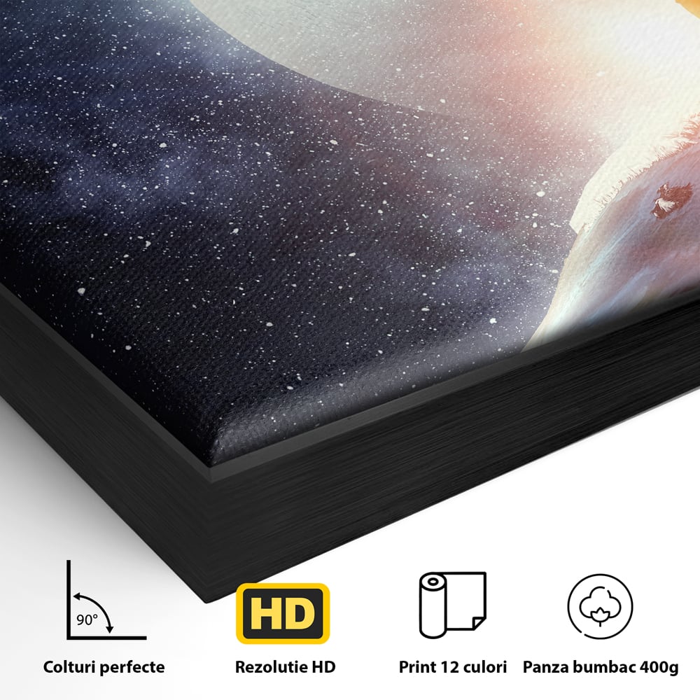 Detaliu al suprafetei: ilustratie digitala cu un cantaret pe glob, in rama de aluminiu negru