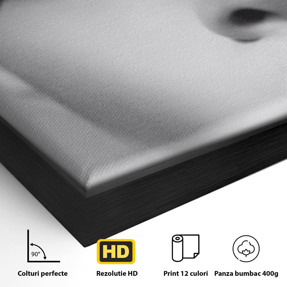 Detaliu al suprafetei: tablou canvas cu portret alb-negru, in rama de aluminiu negru
