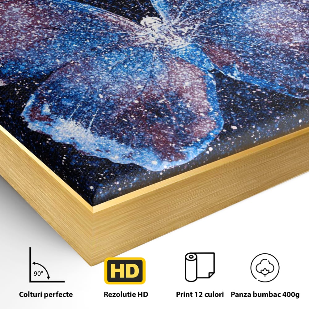 Detaliu al suprafetei: tablou canvas cu fluture cosmic si stele, in rama de aluminiu auriu