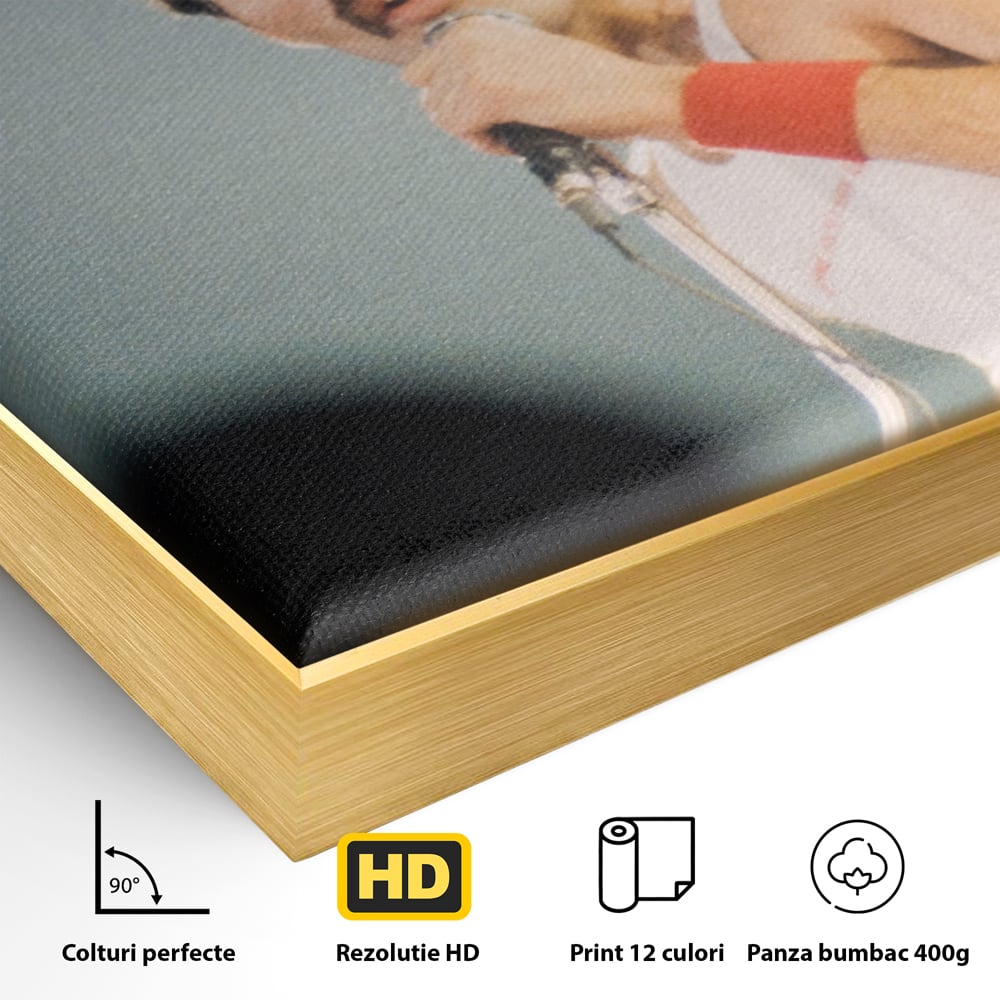 Detaliu al suprafetei: tablou canvas cu freddie mercury, in rama de aluminiu auriu
