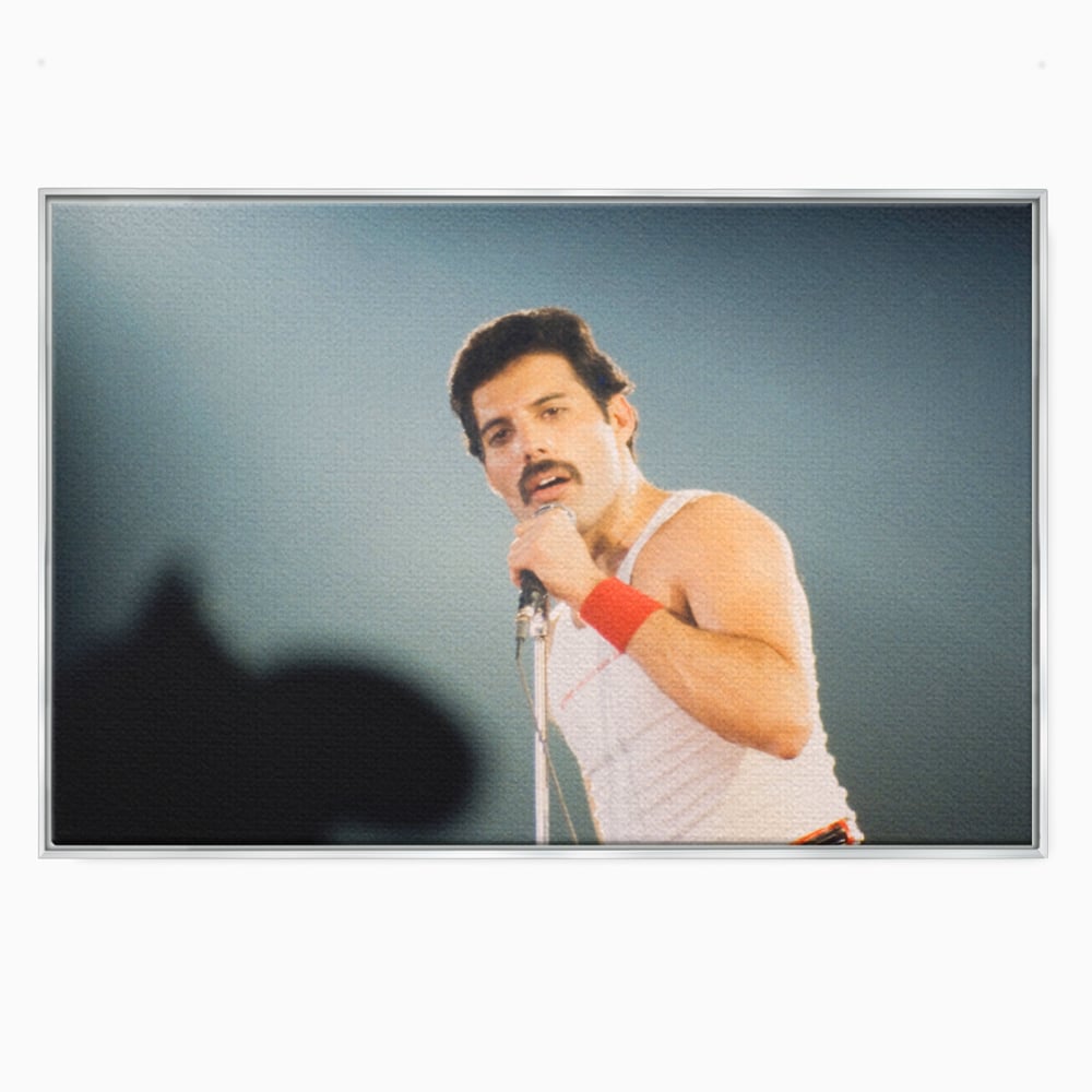 Tablou canvas cu tablou canvas cu freddie mercury, in rama de aluminiu argintiu
