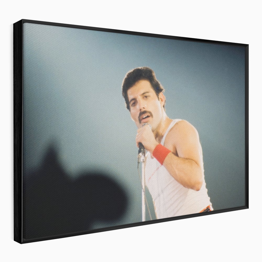 Tablou canvas cu tablou canvas cu freddie mercury, in rama de aluminiu negru