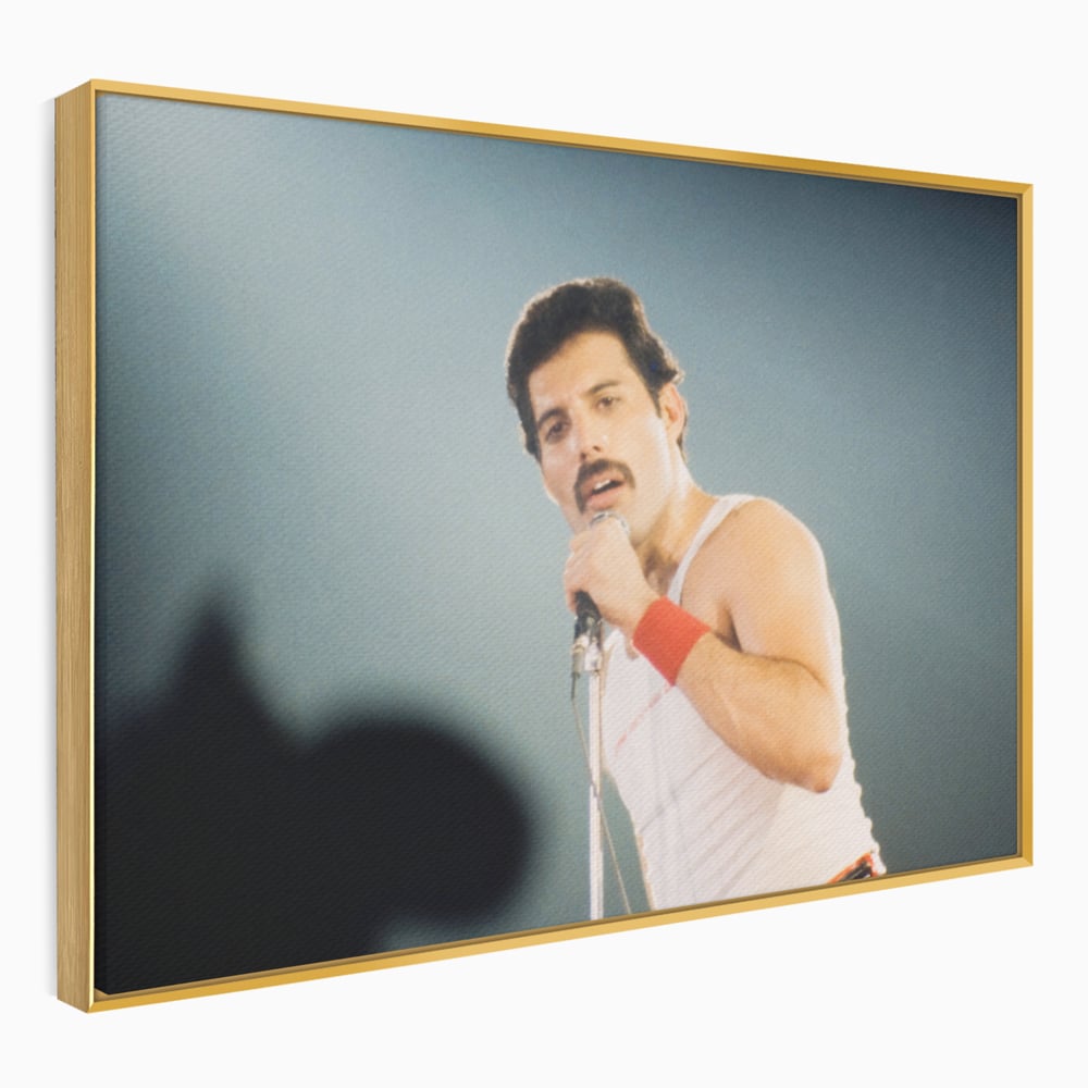 Tablou canvas cu tablou canvas cu freddie mercury, in rama de aluminiu auriu