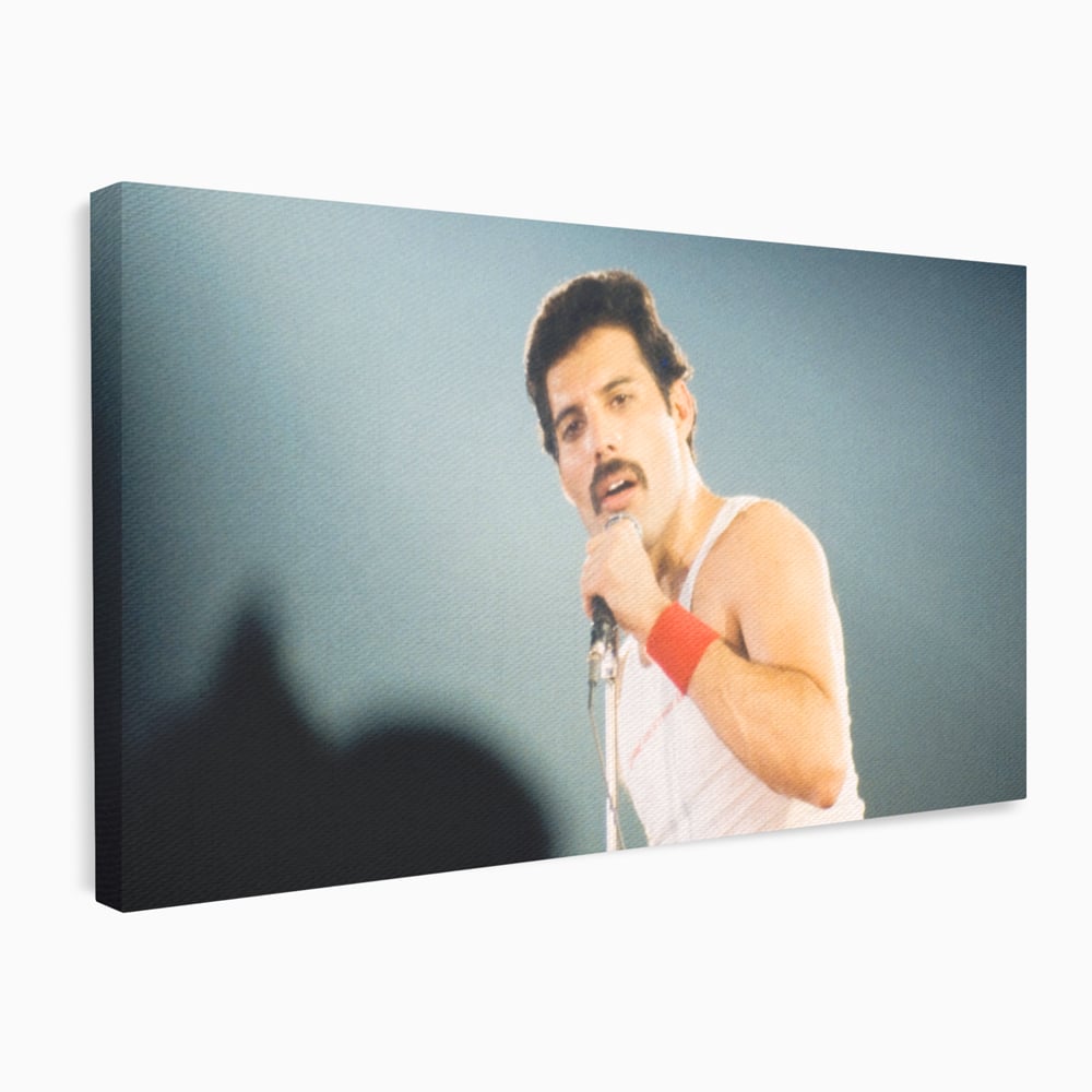 Tablou canvas cu tablou canvas cu freddie mercury, fara rama, pe sasiu de lemn