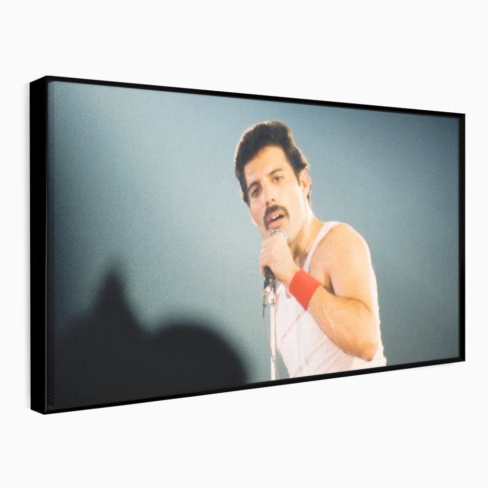 Tablou canvas cu tablou canvas cu freddie mercury, in rama de aluminiu negru
